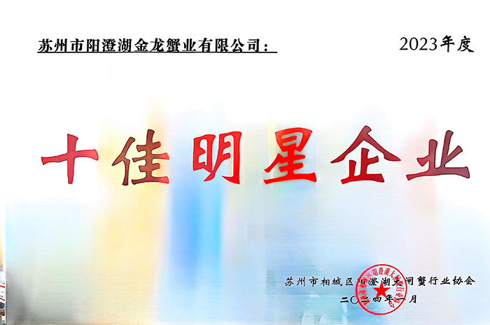 十佳明星企業(yè)