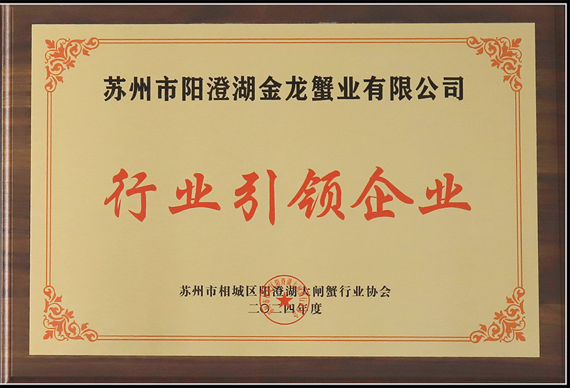 行業(yè)引領(lǐng)企業(yè)